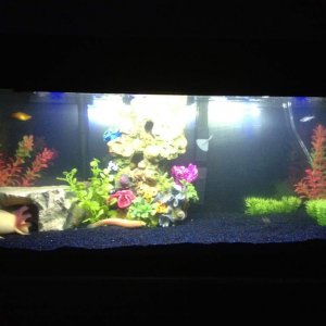 IMG 0497[1]