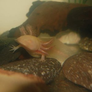 DSC 0375