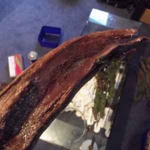 piece of wood im using for waterfall thingy. used silicone to make it watertight