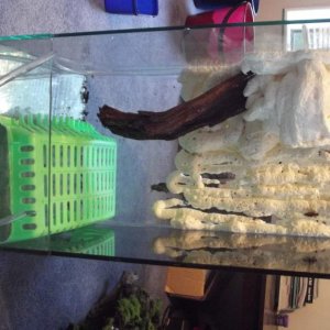 waterfall in place. and the crate im using for a false bottom