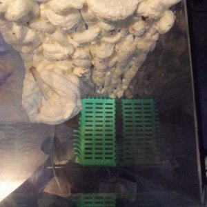 top view of waterfall
