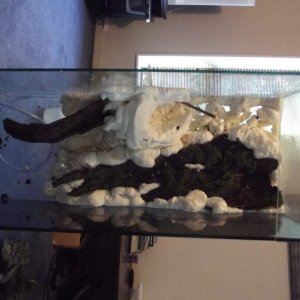 view of whole tank