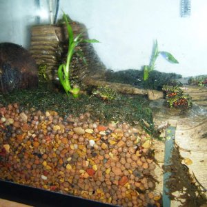 This is the viquarium with one of the two waterfalls installed