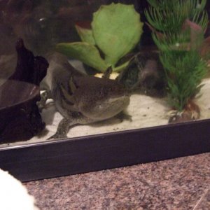 A while ago in the medium tank.