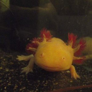 DSCF0045