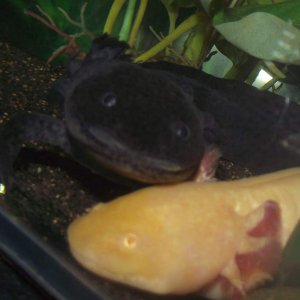 DSCF0067