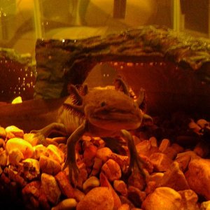 IMG 20120910 002417