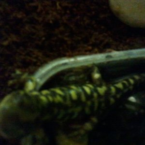 2012 09 11 22.03.40
