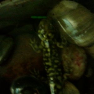 2012 09 11 22.00.39