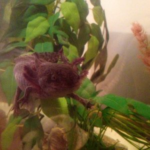 Princess, she is very photogenic... :D