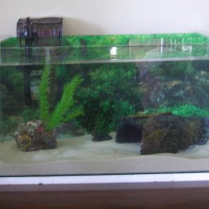 Merlin's new tank before he's put in.