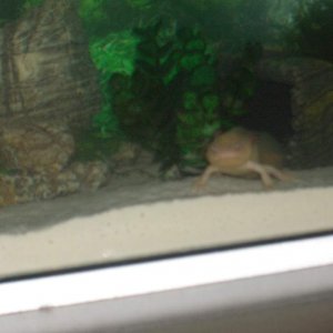 What I wake up to each morning :P