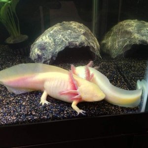 IMG 0738[1]