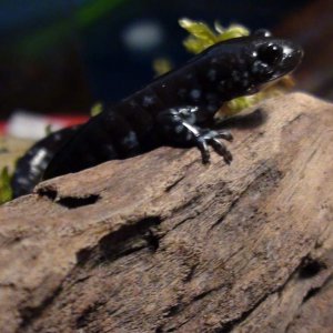 DSC01282