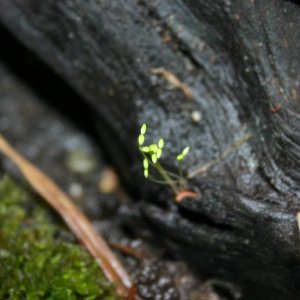 IMG 5592