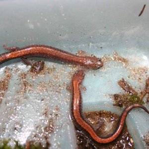 IMG 5583