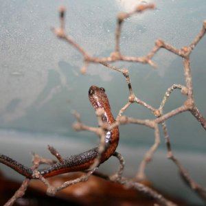 IMG 5584