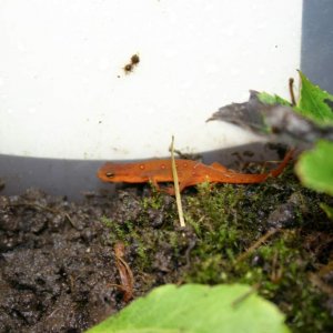 IMG 5585