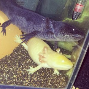 IMG 20120923 100617