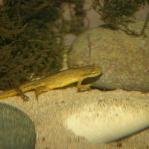 IMG 5603