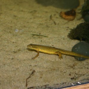 IMG 5638