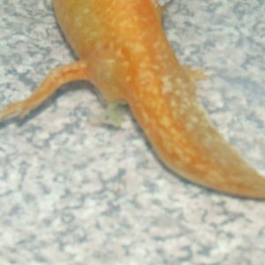 DSCF0833