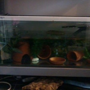2012 07 14 20.05.24