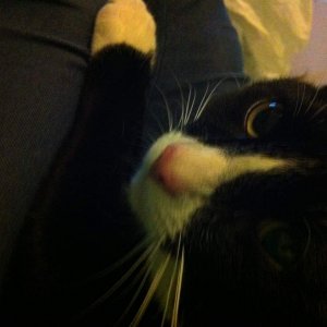 Tom