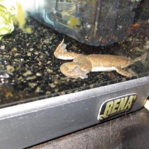 one of his many favorite spots....should probably have cleaned the glass better :P