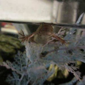 "can't you see i want food!" hehehe i just love that picture :P