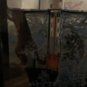 this is his way of telling me he's hungry...he goes and stays in that corner when ever he thinks he's going to be fed :P