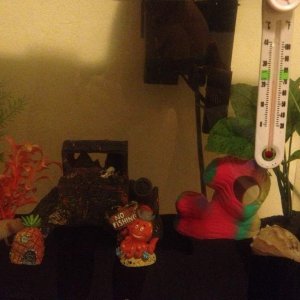 Too much stuff?