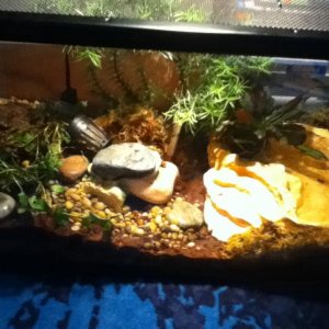 This is his tank.