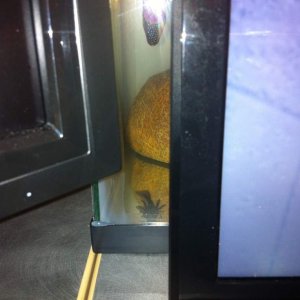 Oscar Creeping on me....