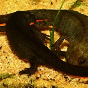 an intimate moment ?