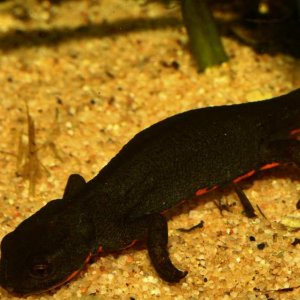 Issac checking out stuff