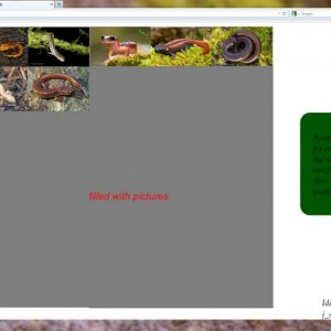 Basic website design