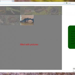 Example of succesful search
