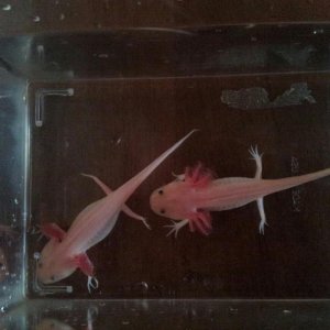 Getting bigger all the time!