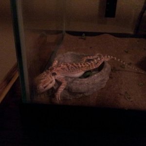 Someone had a rough day...