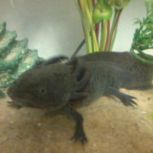 Photo0090