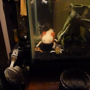 dinner time