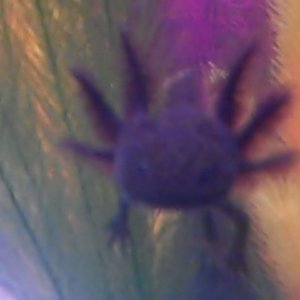 VID00103