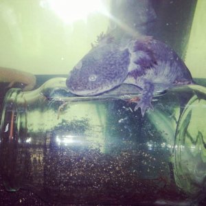 Getting all possesive on the feeding jar...