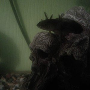 Photo0202