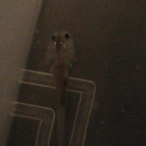 pics 2012 021