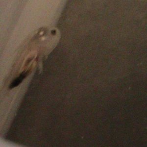 pics 2012 047