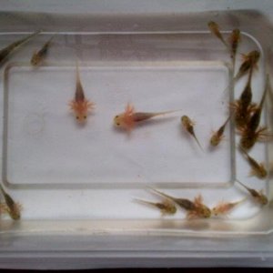 542805 4410683099921 335505874 n[1]