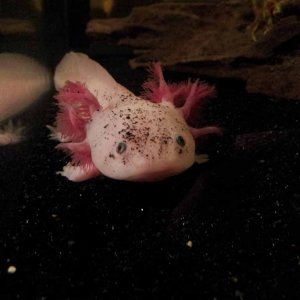 November 26, 2011

Marinus in a different angle on day 1.