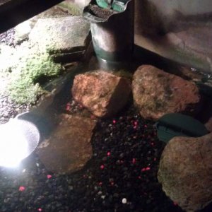 Current tank, going to take it apart and clean it out soon